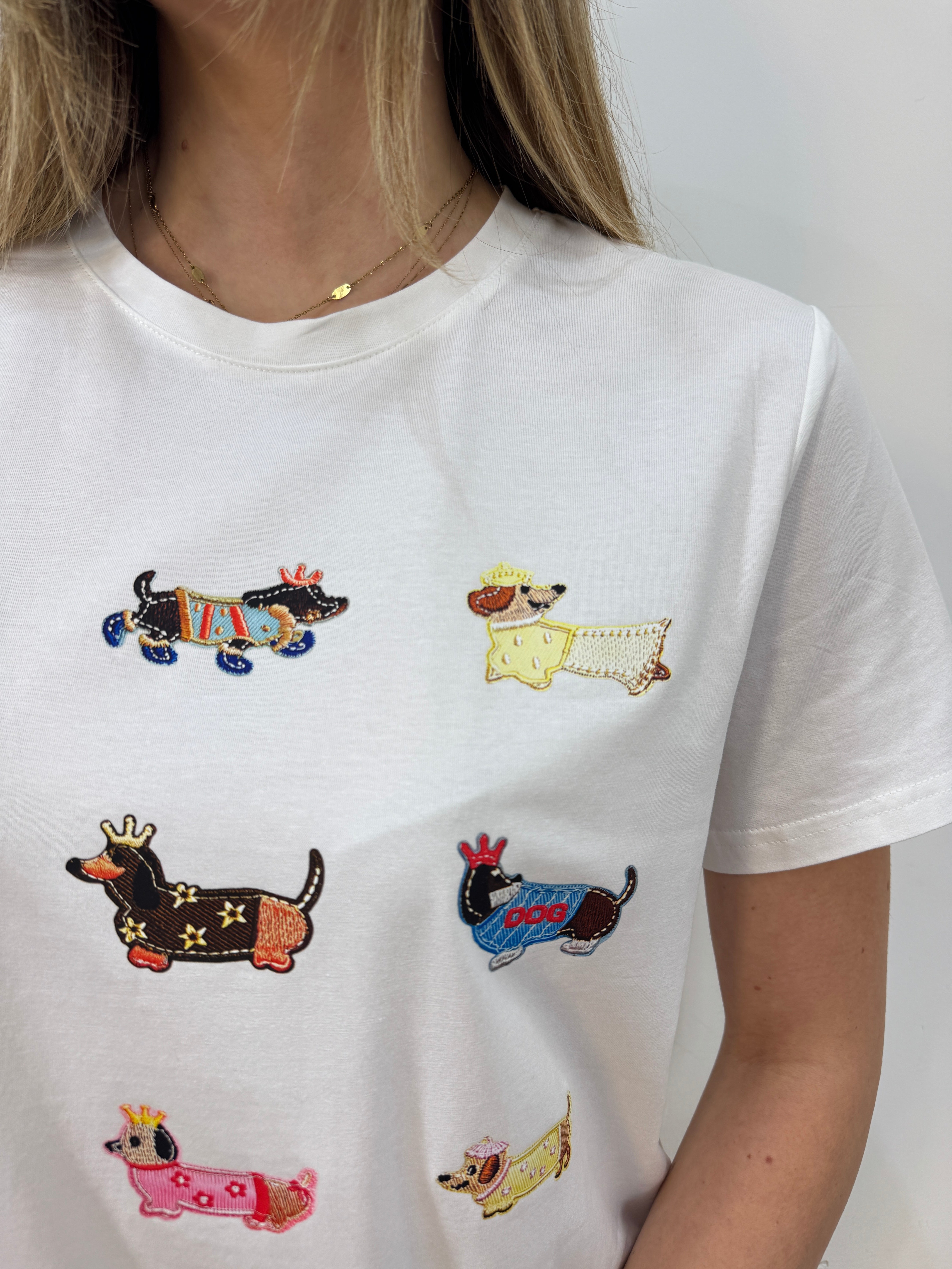 T shirt multi bassotto