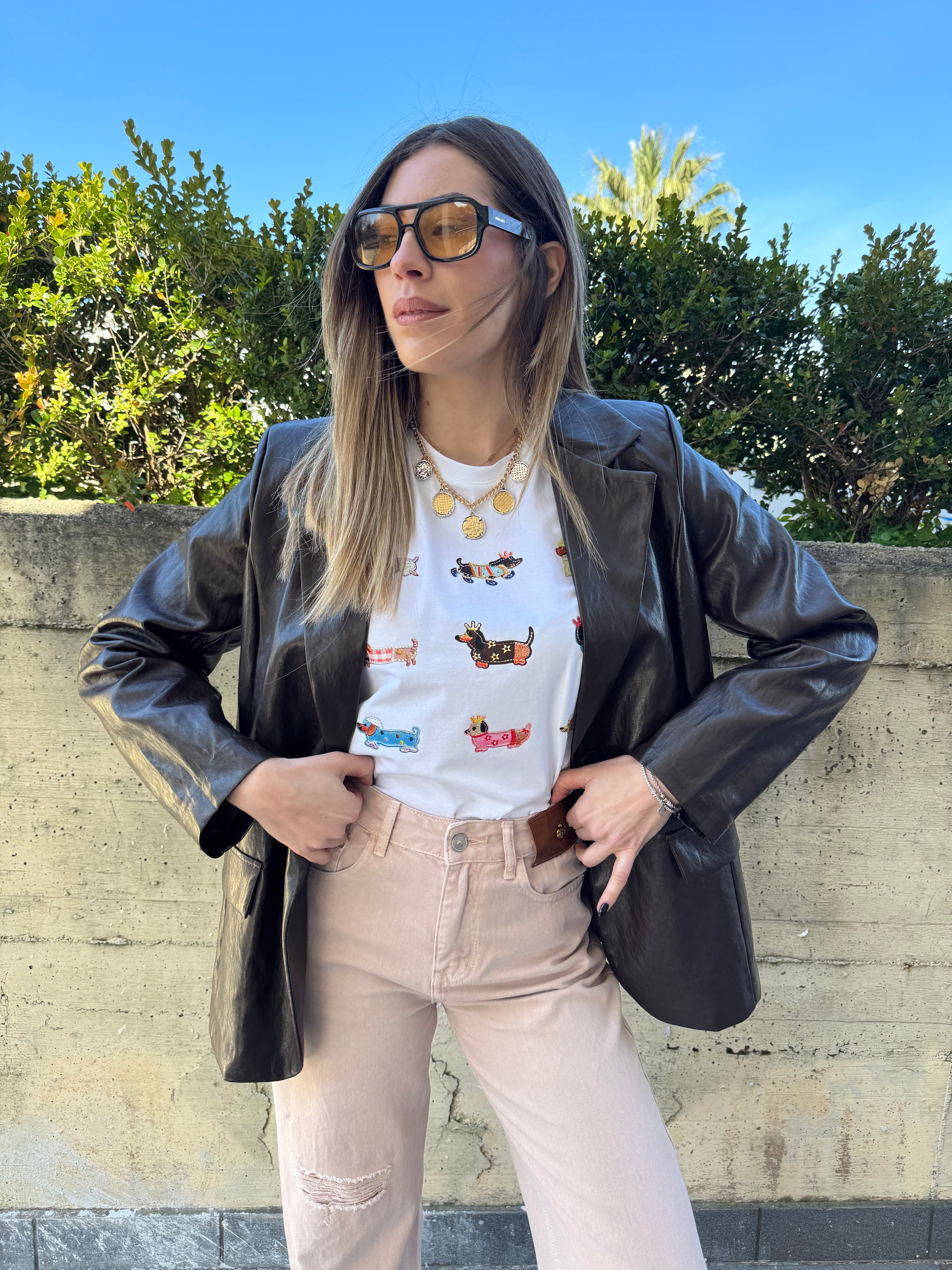 T shirt multi bassotto