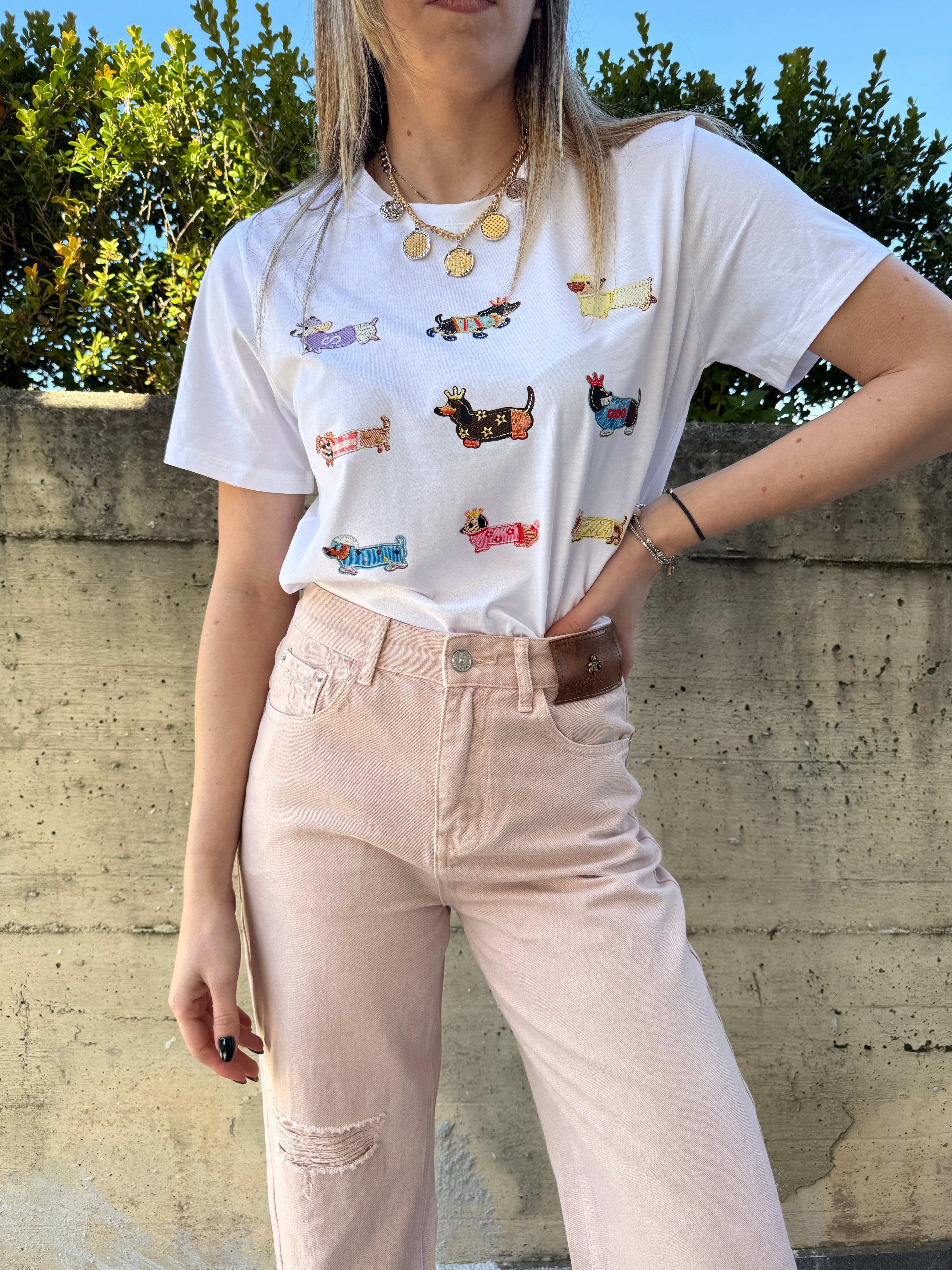 T shirt multi bassotto