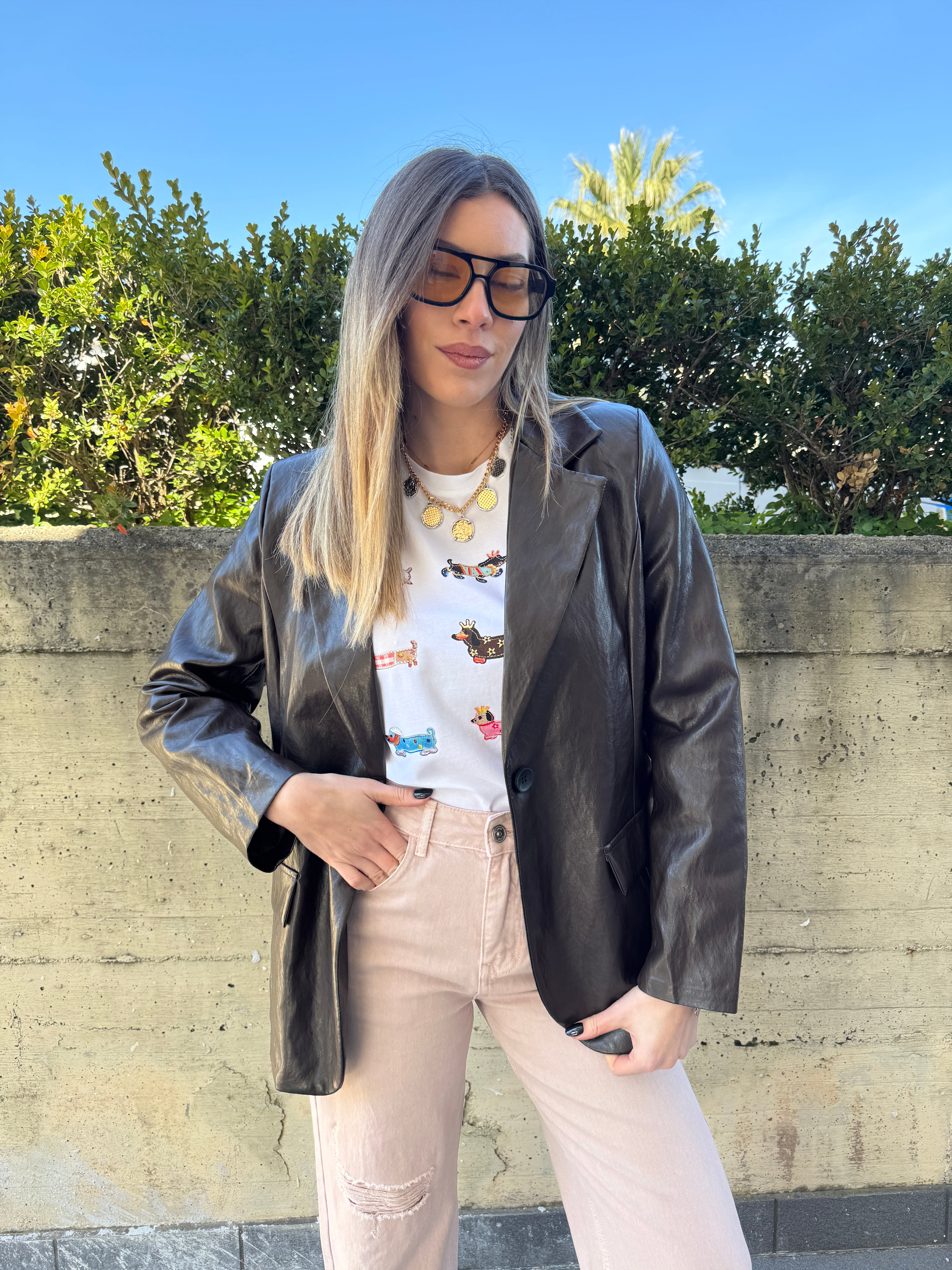 T shirt multi bassotto