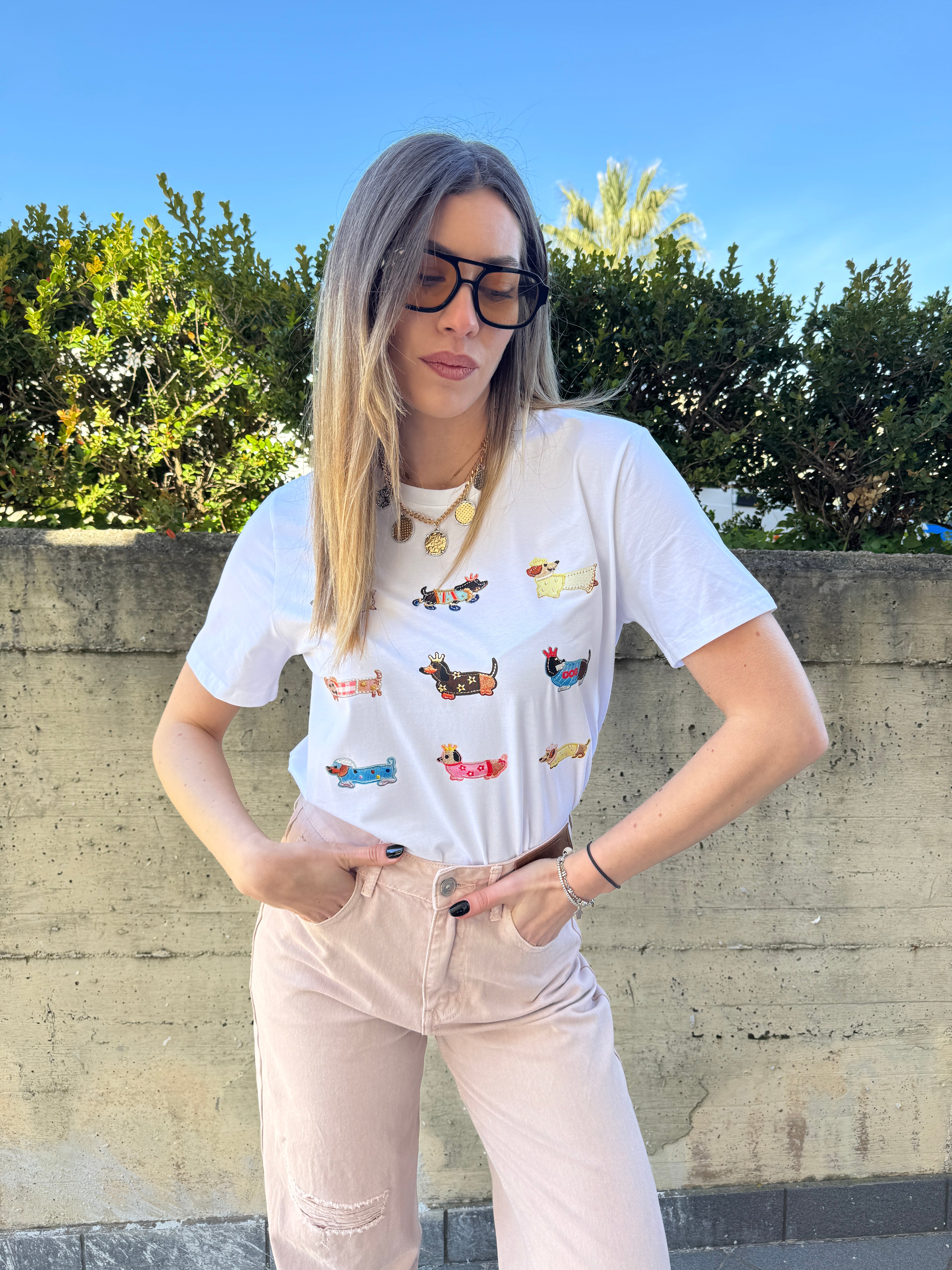 T shirt multi bassotto