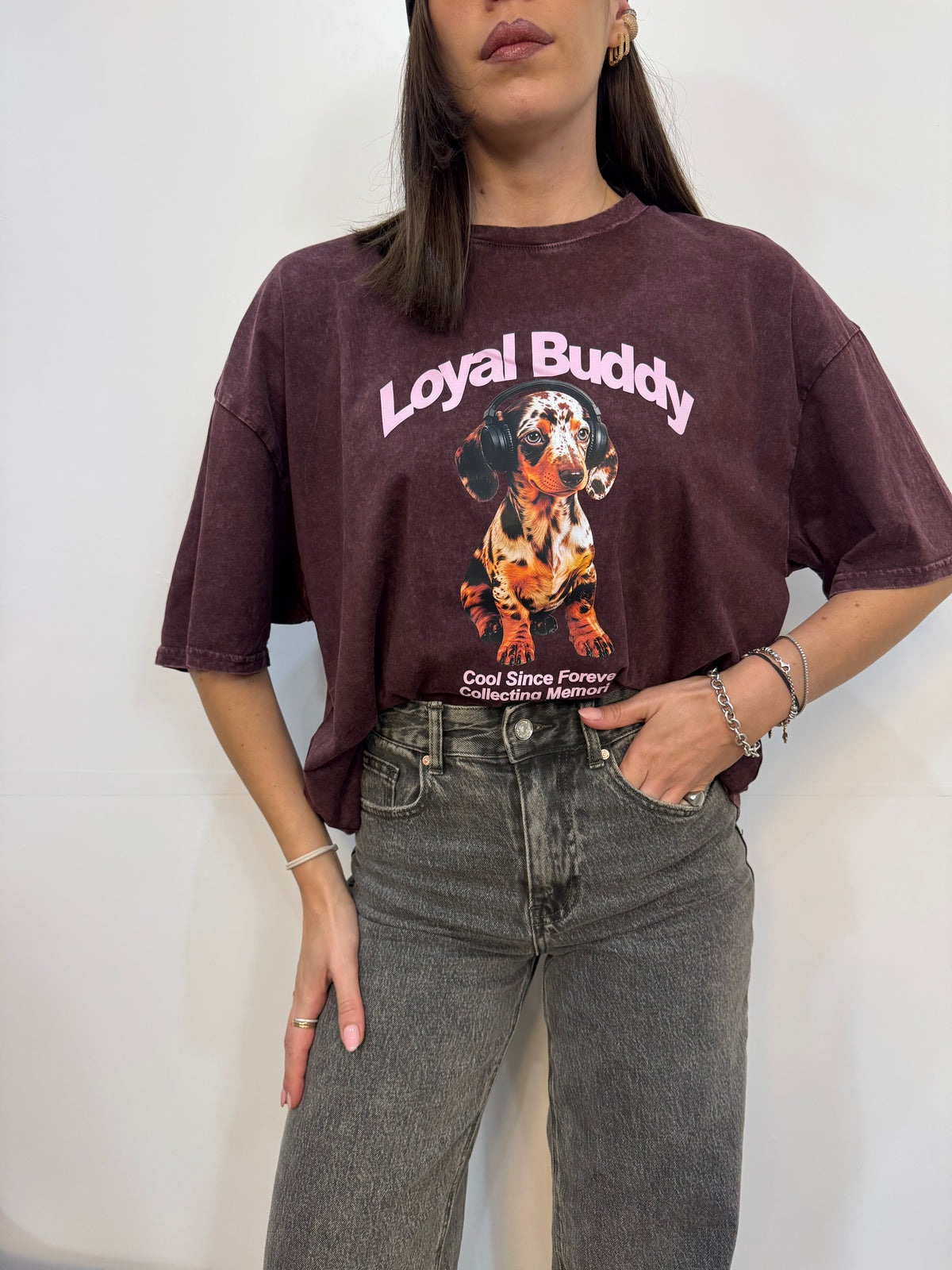 T-shirt  Bassotto